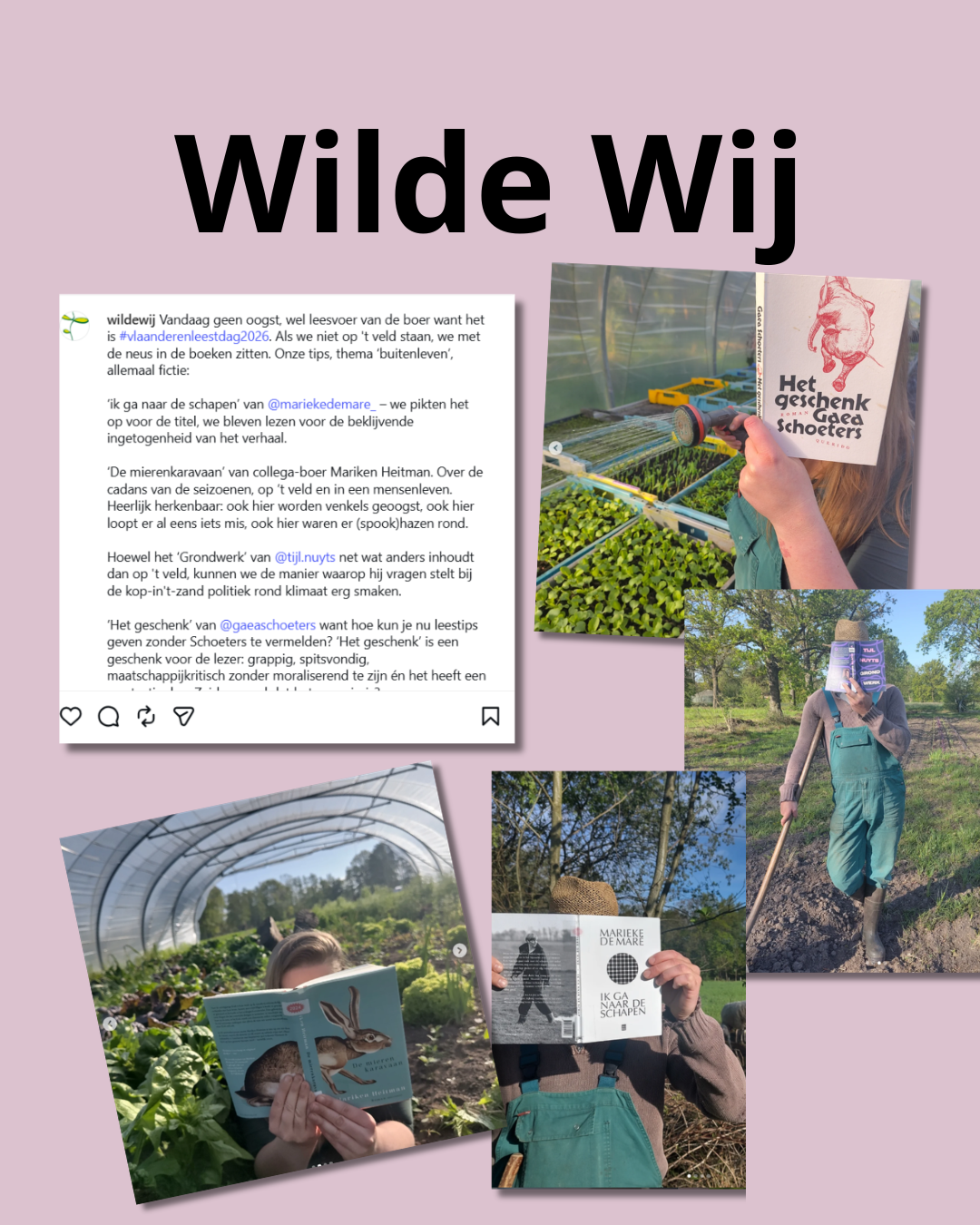 Wilde Wij