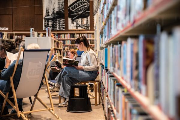 archiefbeeld Vlaanderenleestdag